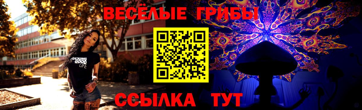 Можга  Галлюциногенные грибы MAGIC MUSHROOMS  Псилоцибиновые грибы Magic Shrooms  Вход с VPN 